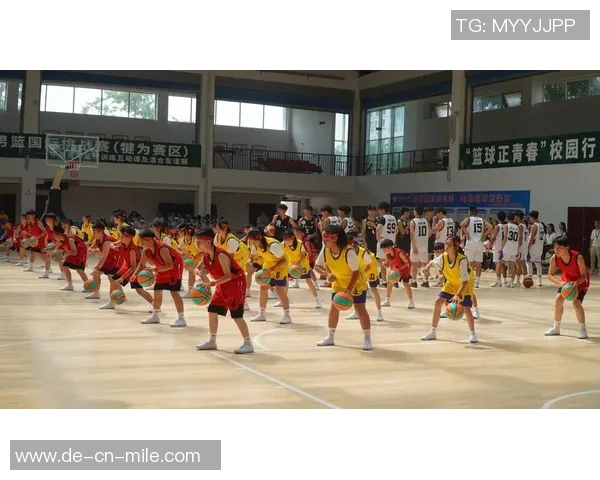 足球的魅力与精神探讨：从场上竞技到生活启示的全面分析